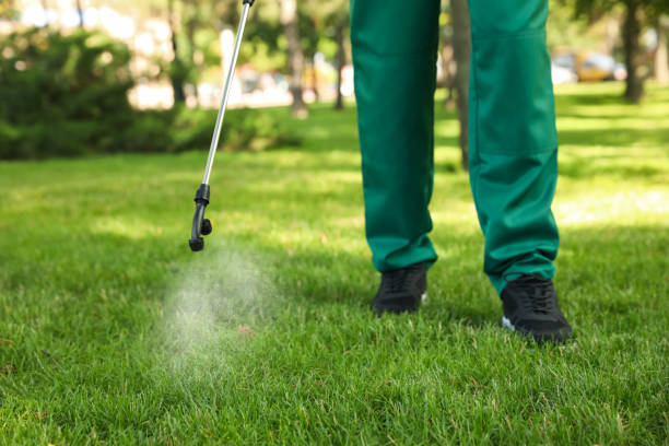 Best Best Pest Control Companies  in Plains, TX