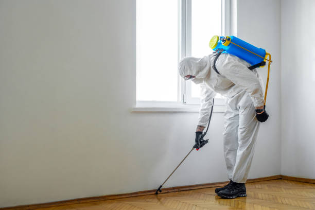 Professional Pest Control in Plains, TX