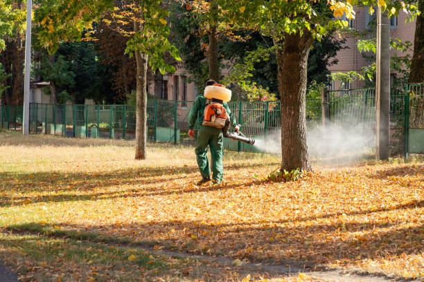 Best Bed Bug Extermination  in Plains, TX